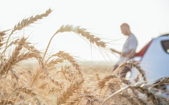 Unfallhighlights Image 1