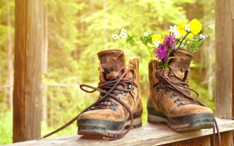 Unfallhighlights Image 2