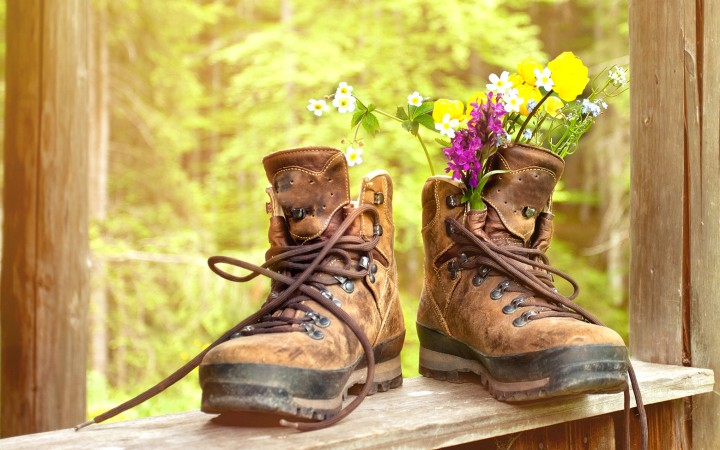 Haushaltsversicherung TOP