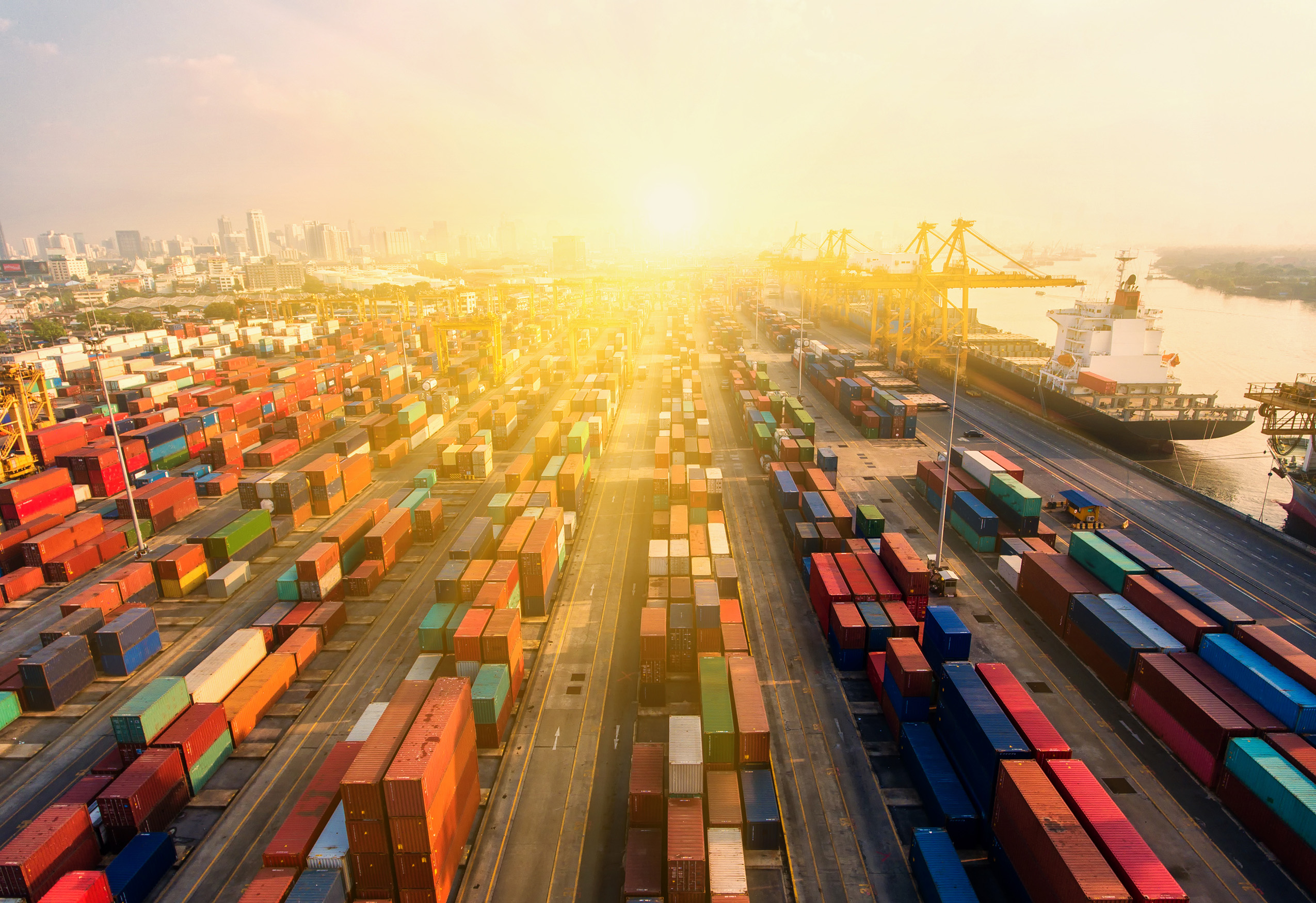 Internationale Versicherungsprogramme